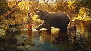 The Elephant Whisperer Full Movie  Oscar Winning Short Film 2023 #netflix #oscarwinner