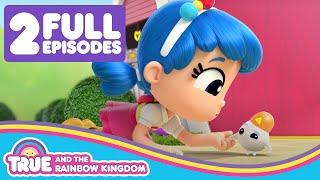 Little Helpers and Zappy Cling   2 Full Episodes  True and the Rainbow Kingdom 