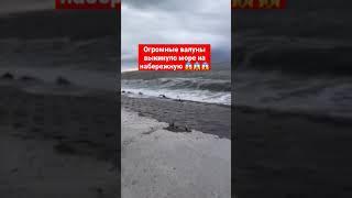 на набережной не пройти огромные валуны выкинуло в Сочи в город 