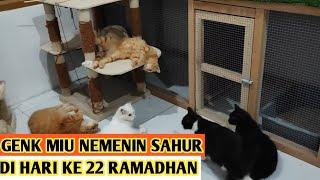 GENK MIU NEMENIN SAHUR DI HARI KE 22 PUASA RAMADHAN GAK KERASA SUDAH MEMPET  LEBARAN