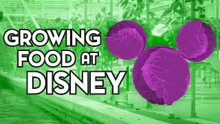 How Much Food is Grown at Epcot?