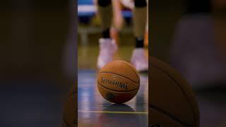 A Day Training with the Taipans