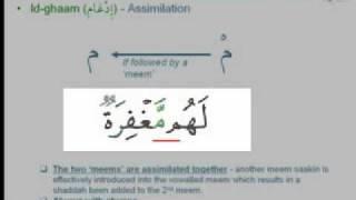 Tajweed Online 22 - Ghunna Idh-haar Idghaam Ikhfaa and Iqlaab of Meem Saakin