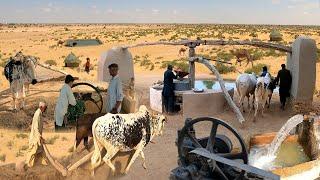 Beautiful Traditional Village Life in Pakistan  Beautiful Old Culture of Village in Punjab