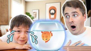 I Lost My Pet  Kids Songs and Nursery Rhymes by Papa Joels English