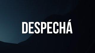 ROSALÍA - DESPECHÁ LetraLyrics