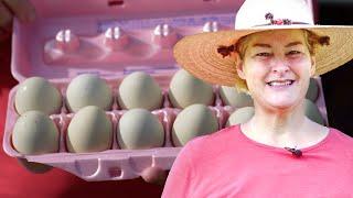 What To Feed Your Chickens So They Lay Eggs All Winter