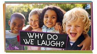 Why Do We Laugh?