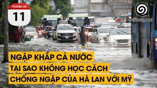 Ngập khắp cả nước. Tại sao không học cách chống ngập của Hà Lan với Mỹ  TỔ BUÔN 247 11062024