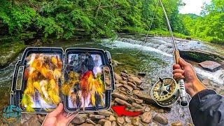 How to Streamer Fish for Trout  Fly Fishing for Beginners