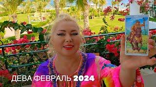 ДЕВА - Таро на февраль 2024 года. В центре внимания Вселенной️от OLGA STELLA