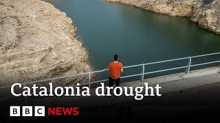 Catalonia State of emergency declared as region faces worst ever drought  BBC News