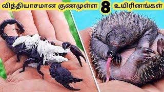 வித்தியாசமான உயிரினங்கள்  Seven Amazing Talent Creatures  Tamil Info Share