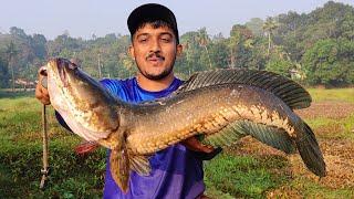 DECATHLON ഇൽ ഇത്രയും നല്ല ചൂണ്ട ഉണ്ടായിരുന്നോ...  Decathlon WXM 100 Rod & Reel  Fishing Videos 