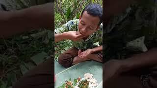 makan Dan masak di kebun doro kabupaten pekalongan 2