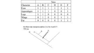 Cladogram Exercise by Hamid Razifard