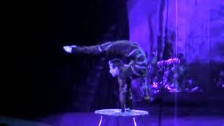 Цирк на воде  Киев 2011 - Евгений Руденко