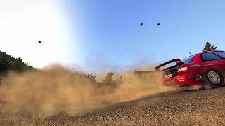 DiRT Rally