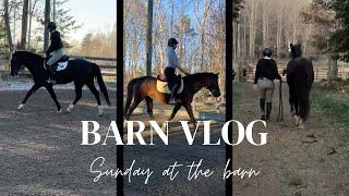 A Sunday At The Barn Barn Vlog