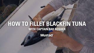 How To Fillet Blackfin Tuna the RIGHT Way with Captain Ray Rosher