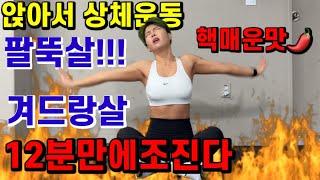 1200만뷰돌파 삐약스핏 레전드팔뚝살 리뉴얼 Ejercicio de la parte superior del cuerpo en casa집에서상체운동Upper body workout