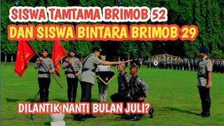 SISWA TAMTAMA BRIMOB 52 DAN BINTARA 29 DI LANTIK BULAN JULI?#bintarabrimob29#tamtamabrimob