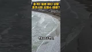 충격 발칵 뒤집힌 일본 바다 상황