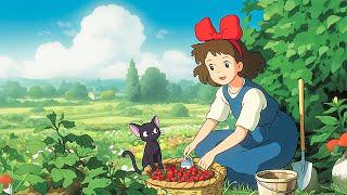 Summer Ghibli Medley  Relaxing Ghibli BGM Music for Healing Studying Working Sleeping