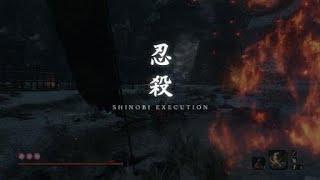 Sekiro™ Shadows Die Twice_20220812142610