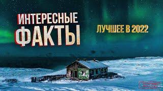 Интересные факты лучшие выпуски 2022 года. Крайний Север. Россия. Коренные народы. Жизнь на Севере