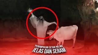 Setan Menakuti Peternakan Sapi. 7 Kejadian Horor Dimana Susah Dijelaskan Oleh Akal Sehat