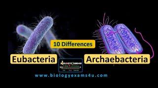 10 Differences between Eubacteria and Archaebacteria  Eubacteria vs Archaebacteria