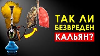 Что Произойдет с Вашим Телом Если Курить Кальян Каждый День Шокирует