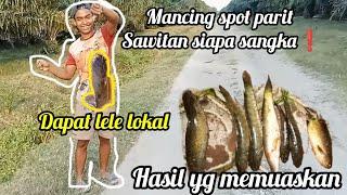 mancing diparit sawitan banyak ikannya?