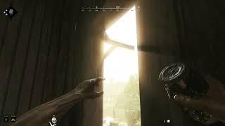 Hunt  Showdown    They call me BeeJangles