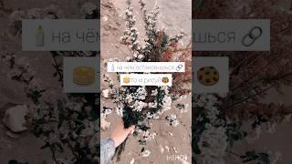 если собака съест саму себя то она станет больше или исчезнет...? #diy_anna #tiktok #лучшее #врек