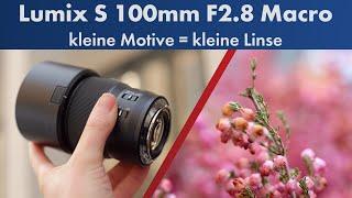 Leicht leichter Lumix S  Panasonic 100 mm f2.8 Macro im Test Deutsch