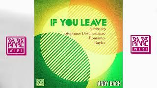 Andy Bach - If You Leave Rayko remix Rare Wiri Records