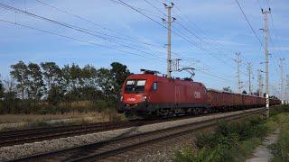 Vlaky  Trains  Züge - Wien Süßenbrunn A - 2.10.2023