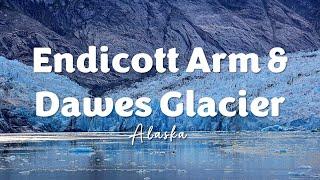 Endicott Arm and Dawes Glacier  Alaska Cruise  Celebrity Solstice
