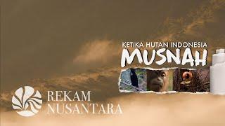 #NusantaraKaya  Ketika Hutan Indonesia Musnah