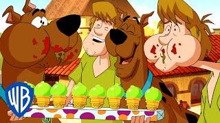 Scooby-Doo  Best of Scooby & Shaggy  WB Kids