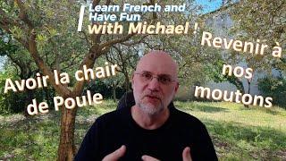 Learn french and have fun with me  avoir la chair de poule and revenir à nos moutons 