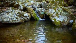 Water Stream Ambience Soft & Soothing Flowing Water