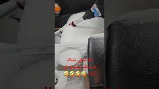 لما تخلي شباك سيارتك مفتوح في كندا 