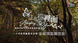 一小時【靈修音樂】全專輯連續播放 「住在祢裡面」Abiding In You 讚美之泉安靜系列 03 Devotional Instrumental Album