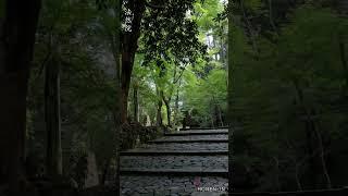 法然院・京都　Honen-in Kyoto Japan