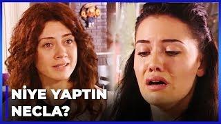 Leyla Necla ve Oğuzdan Hesap Sordu - Yaprak Dökümü 42. Bölüm