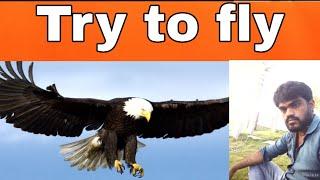 Try to fly  motivational story  Vijay Manohar VJM STORIES