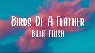 Billie Eilish - Birds Of A Feather Lyrics